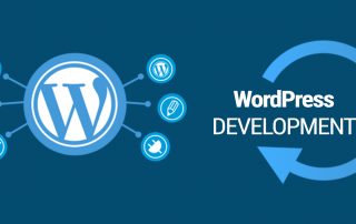 sviluppo wordpress